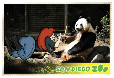 Postcard from Imy: San Diego Zoo