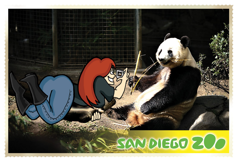 Postcard from Imy: San Diego Zoo