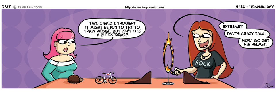 436 – Training Day