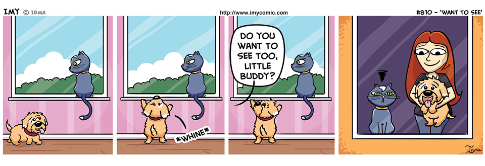 810 – Want to See